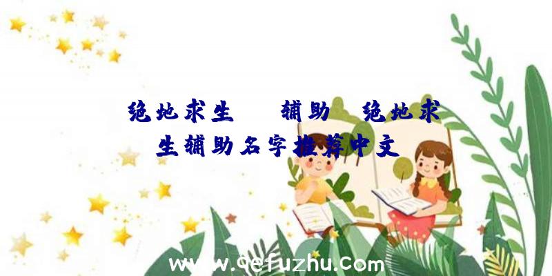 「绝地求生DYM辅助」|绝地求生辅助名字推荐中文